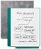 Amazon Kindle Scribe 2024 64Gb Green с обложкой Premium Grey