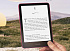 Amazon Kindle PaperWhite 12 2024 32Gb SE Pink с обложкой Forest