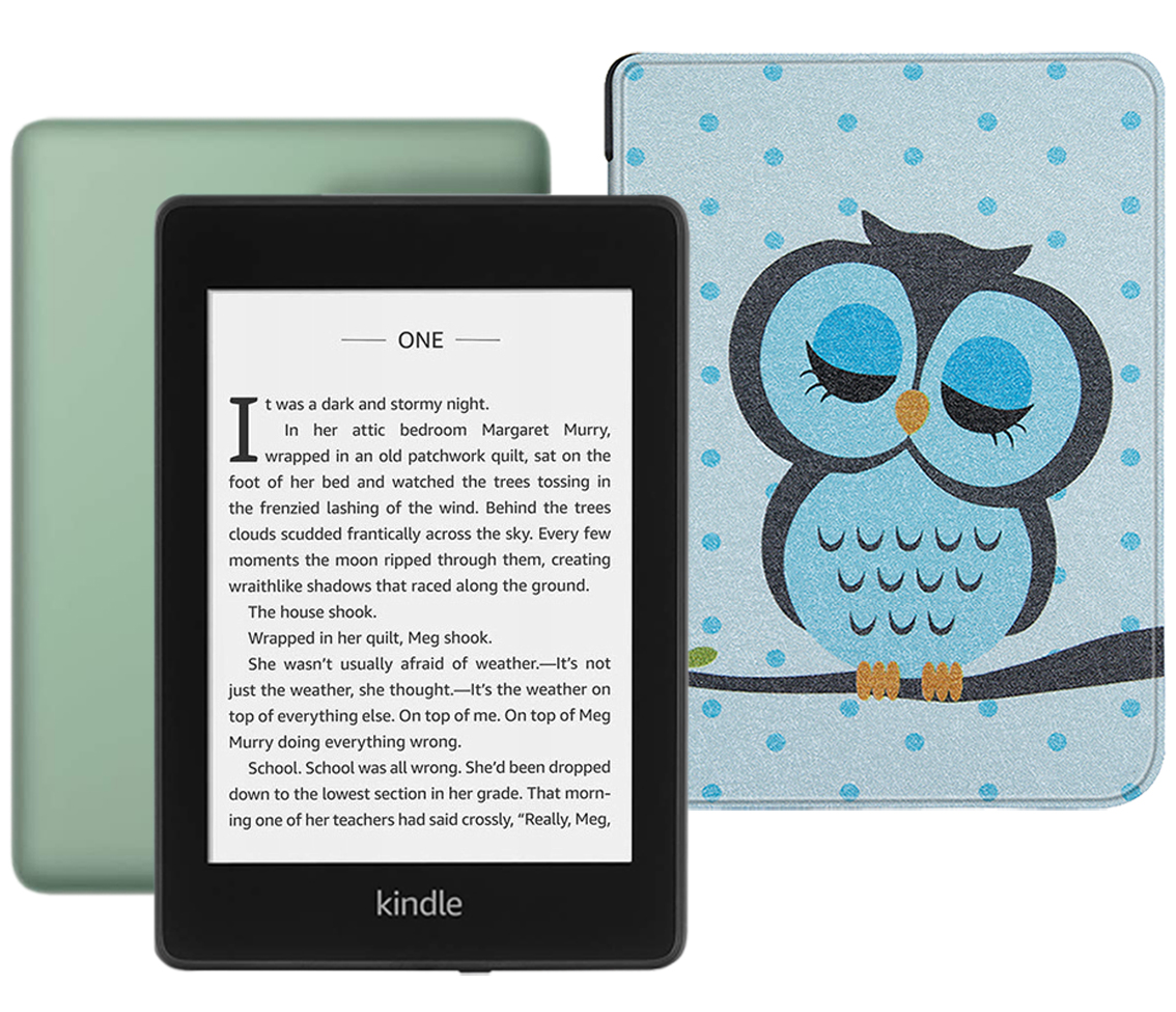 Amazon Kindle PaperWhite 2018 8Gb SO Sage с обложкой Owl
