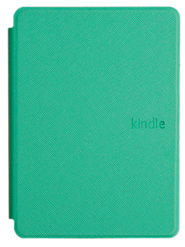 Обложка ReaderONE Amazon Kindle 11 Light Green