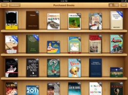 Apple удерживает четверть мирового рынка электронных книг