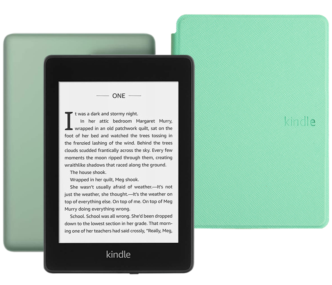 Amazon Kindle PaperWhite 2018 8Gb SO Sage с обложкой Light Green