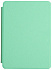 Amazon Kindle PaperWhite 12 2024 16Gb SO Black с обложкой Light Green