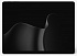 Microsoft Surface Pro 12 13" U5 16Gb/256Gb Black