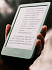 Amazon Kindle 11 2024 16Gb Без рекламы Green с обложкой Brown