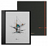 ONYX BOOX Note Air 5 C