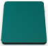 Amazon Kindle PaperWhite 12 2024 16Gb Black с обложкой Leather Green