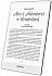 PocketBook InkPad One