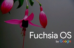 Fuchsia от Google - универсальная операционная система идет на смену Android и Chrome OS