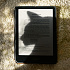Amazon Kindle Colorsoft 32Gb SE с обложкой Tree