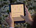 Amazon Kindle PaperWhite 12 2024 16Gb Black с обложкой Forest
