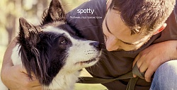 Российская разработка: фитнес-трекер для собак Spotty