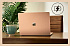 Microsoft Surface Laptop 8 13.8" X Plus 16Gb/512Gb Dune